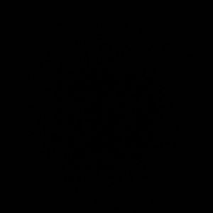 Meet your Posher, Selena