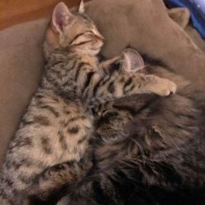 Meet your Posher, Stacey