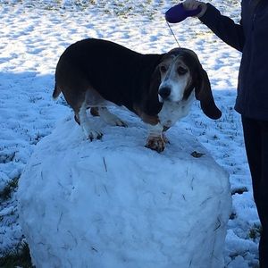 Meet your Posher, Sierra