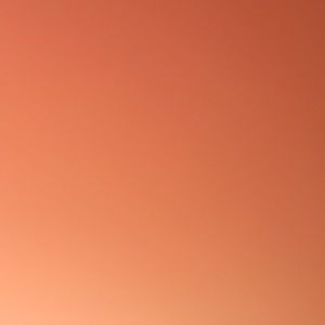 Meet your Posher, Simon