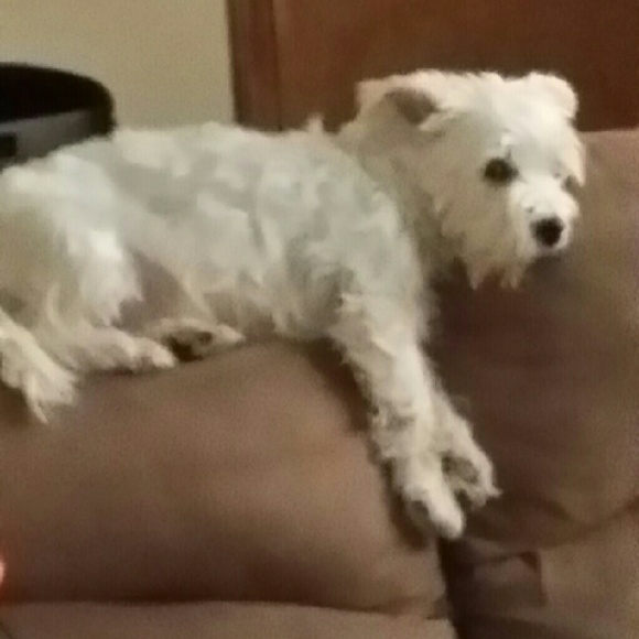 Meet your Posher, Brian - Picture 1 of 1