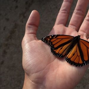 Meet your Posher, Jaden