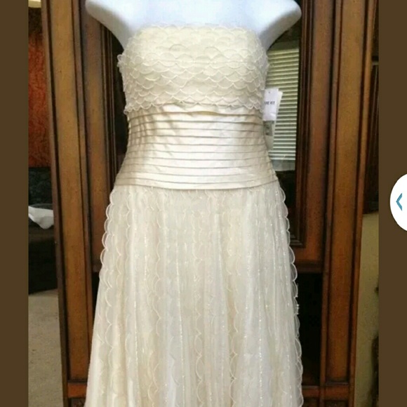 Sue Wong Evening Gown