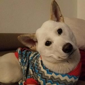 Meet your Posher, Erick