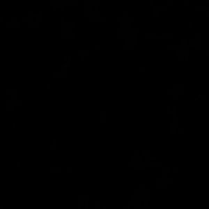 Meet your Posher, Isaac