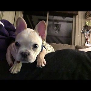 Meet your Posher, Mary