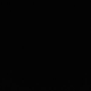 Meet your Posher, Ray