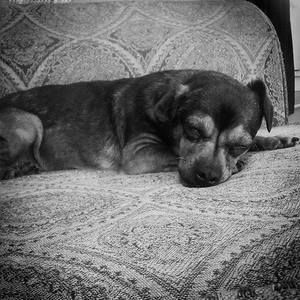 Meet your Posher, Rebekah