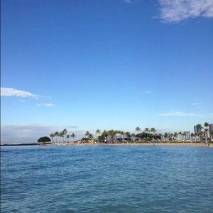 Meet your Posher, Thao