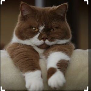 Meet your Posher, Jun