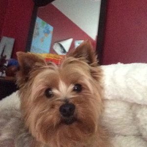 Meet your Posher, Myles