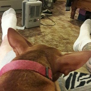 Meet your Posher, Chris