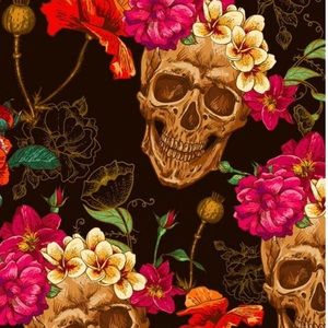 Meet your Posher, Cait