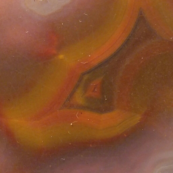 Meet your Posher, Sara Mae - Picture 4 of 4