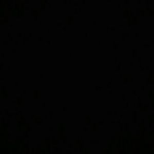 Meet your Posher, Willie