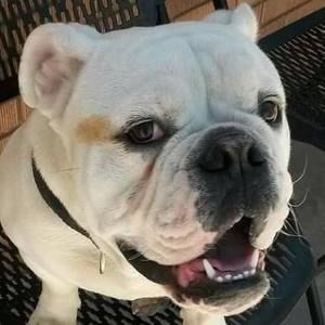 Meet your Posher, Roberto