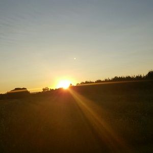 Meet your Posher, Nicolette