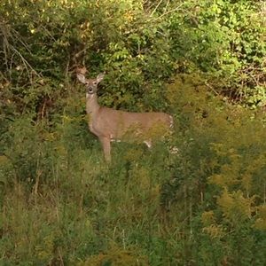Meet your Posher, Nancy