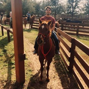 Meet your Posher, Alauri