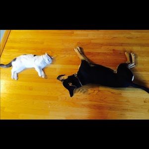 Meet your Posher, Mindy