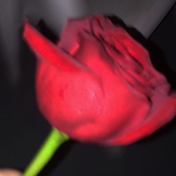 Meet your Posher, Gissel