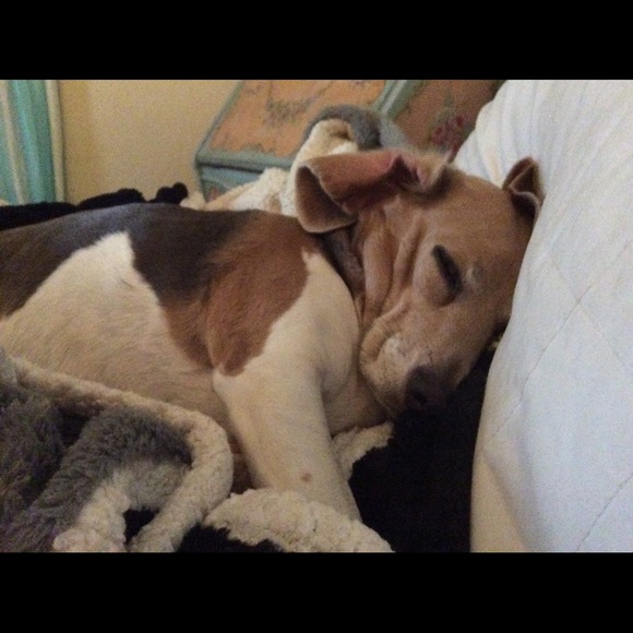 Mini and Charlie - Picture 4 of 10