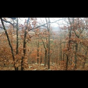 Meet your Posher, Lane