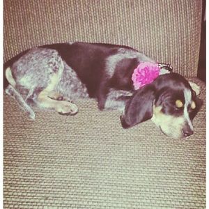 Meet your Posher, Chantel