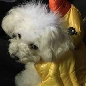 Meet your Posher, Cris