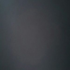 Meet your Posher, Shania