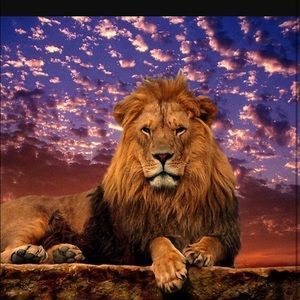 Meet your Posher, Trevor