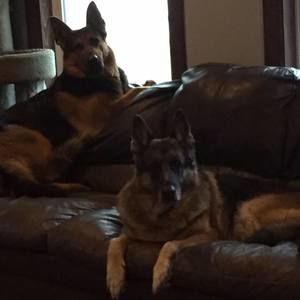 Meet your Posher, Michaela