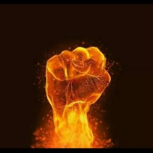 Meet your Posher, Darryl