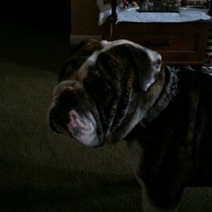 Meet your Posher, Nichole