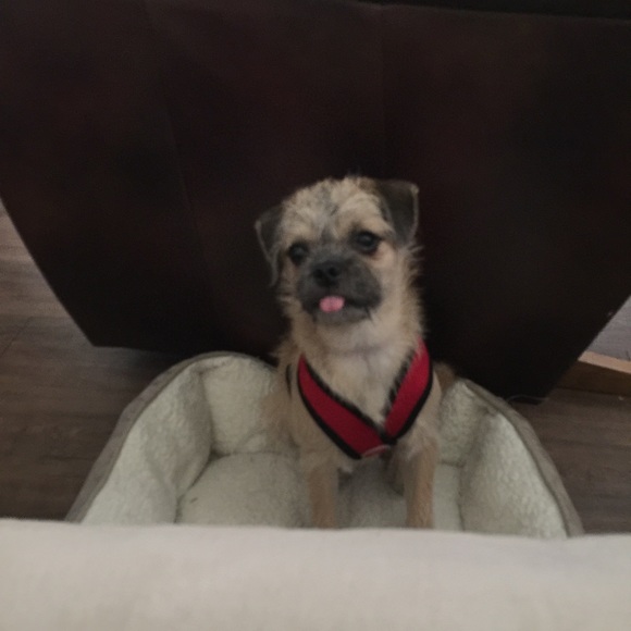 Meet your Posher, Jeremy - Picture 1 of 1