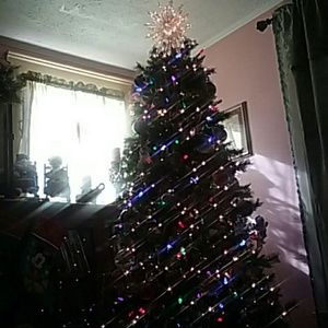 Meet your Posher, Tabatha