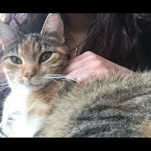 Meet your Posher, Maria