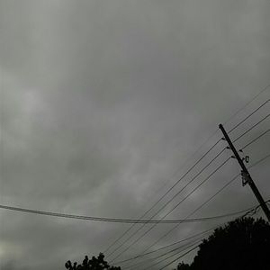 Meet your Posher, Cornelius