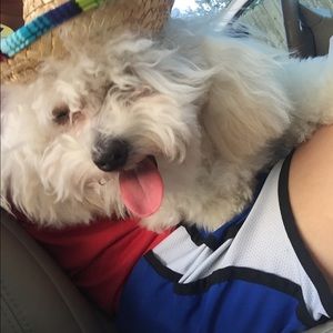 Meet your Posher, Natalie