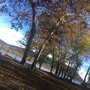 Meet your Posher, Kylie