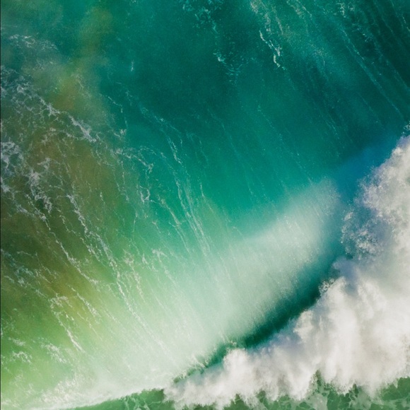 Meet your Posher, Chase - Picture 1 of 1