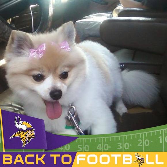 Meet your Posher, Teri