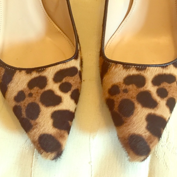 J Crew Collection leopard calf hair kitten heels
