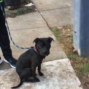 Meet your Posher, Janice