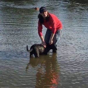 Meet your Posher, Elle