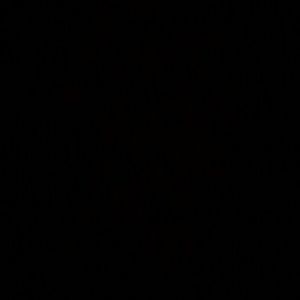 Meet your Posher, Shelby