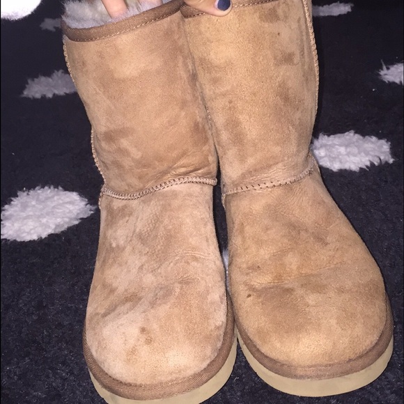 Tan uggs - Picture 1 of 1