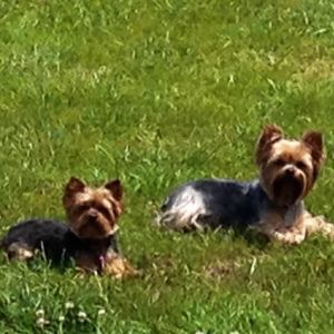 Meet your Posher, Ashley