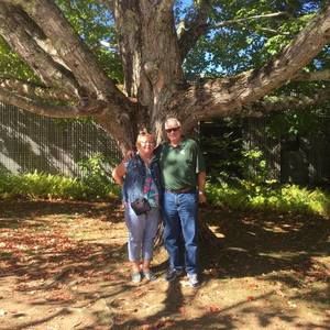 Meet your Posher, Bonnie