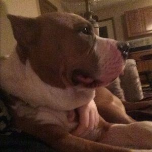 Meet your Posher, Tabitha